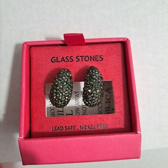 House of Harlow 1960 Jewelry - House of Harlow 1960 Glass Stone Stud Earrings